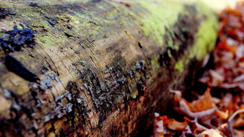 the steps of the fire damage restoration process water damage mississauga