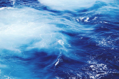 this is your brain on detoxify your body