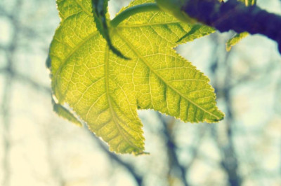 15 best blogs to follow about detoxify