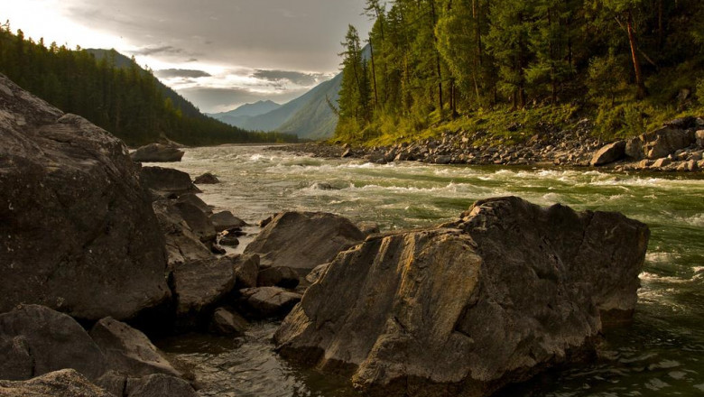 15 tips about water remediation near me from industry experts