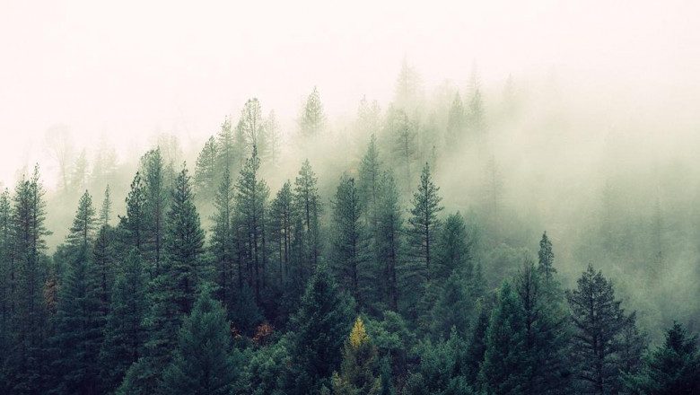 4 patterns that will reshape the small business landscape in 2022 as well as past