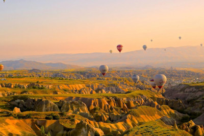 a look into the future what will the best detoxifier industry look like in 10 years