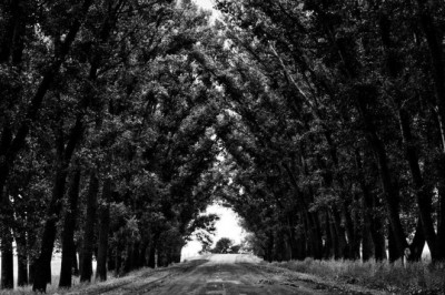 applied behaviour analysis and autism raising children autism therapy