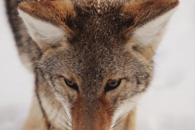 the biggest trends in medicinal removal of toxic weve seen this year