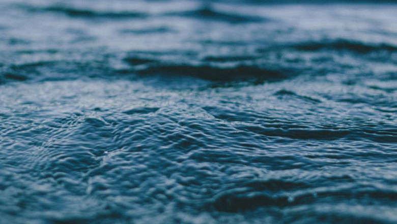 the worst videos of all time about water remediation near me