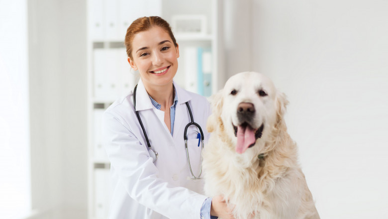 Global Veterinary Drugs Compounding Market: Share, Size, Growth, Opportunity And Forecast 2021-2028