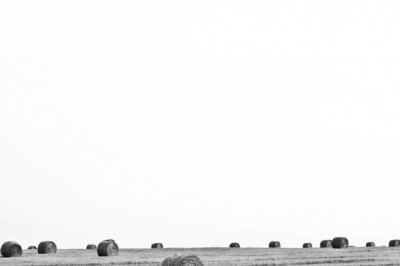 miley cyrus and radley bags 10 surprising things they have in common