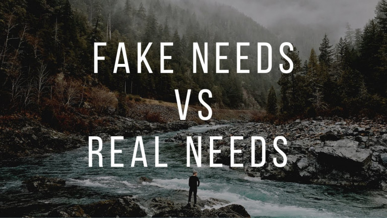 Motivational Stories - Why Do We Study Them?