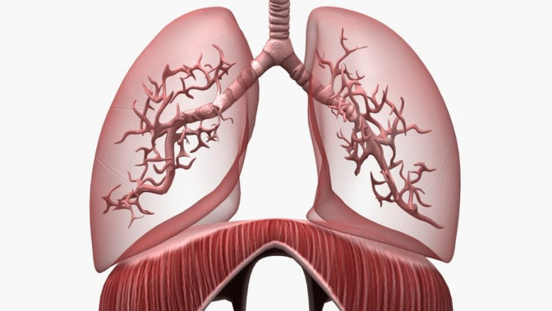 People With Respiratory Problems Can Use Respiratory Heaters To Breathe Heated Gases And Aerosols