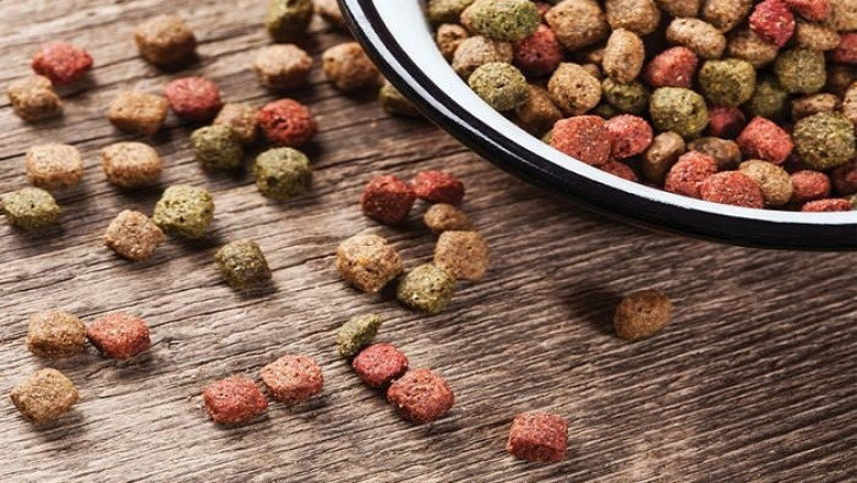 Pet Food Extrusion Market Will Hit Big Revenues In Future | Global Growth, Innovation and Rising Business Opportunities, Forecast 2030