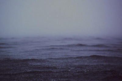 everybody studies psychology that a psychologist