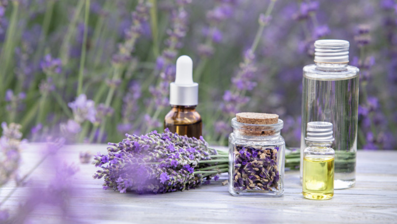 From Tea Tree To Lavender Check Out Essential Oils And Their Advantages
