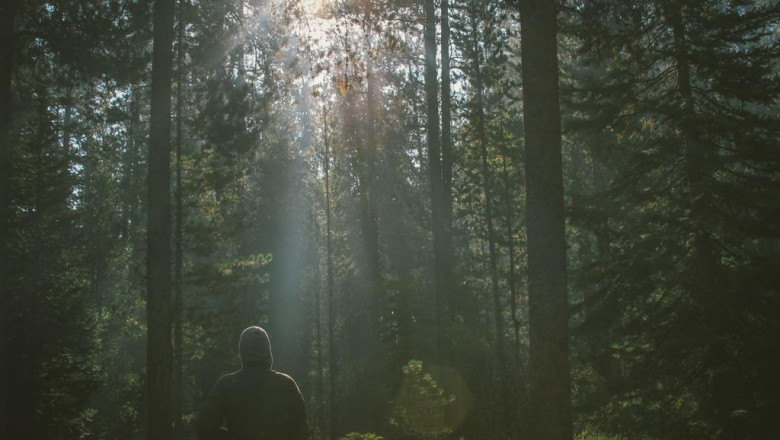 patio furniture umbrellas great structure for outdoor furniture protection