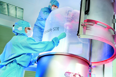 Single-Use Bioreactors: An Established Addition to Biotechnology Production