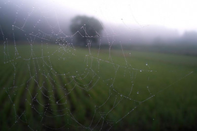 why people love to hate amazonaws newgenerationedu