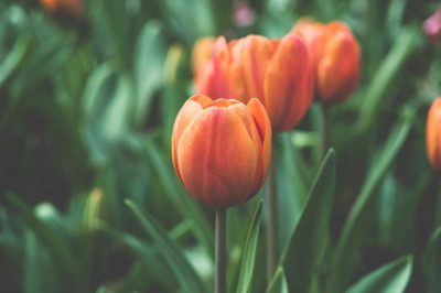 women fashion 10 things i wish id known earlier