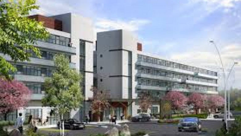 All About Freehold Townhomes in the GTA
