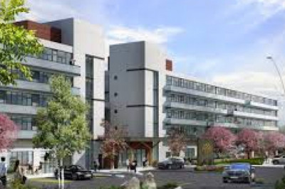 All About Freehold Townhomes in the GTA