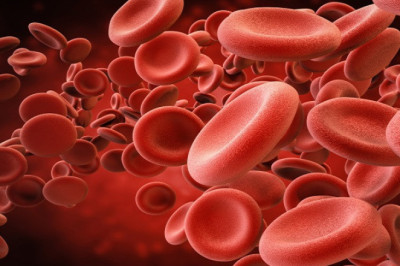 Blood Thinner Market Development Trends, SWOT Analysis, Impact of Economic and Policy Aspects 2022-2030