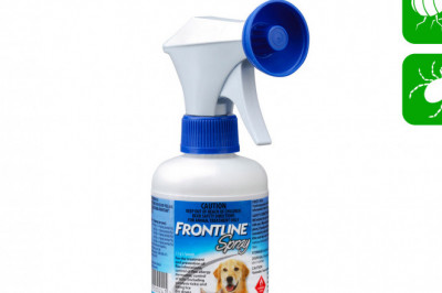 Frontline Spray 250 mL for Dogs & Cats Flea Tick Prevention