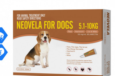 Neovela BROWN for Dogs 5.1 to 10 Kg 4 Pipettes Flea Heartworm Prevention