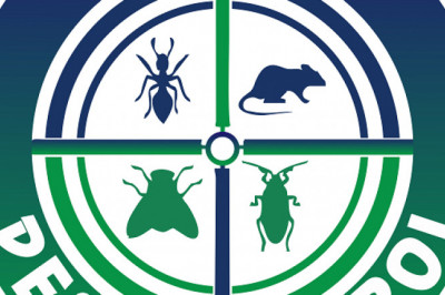Pest Removal Company in Ottawa