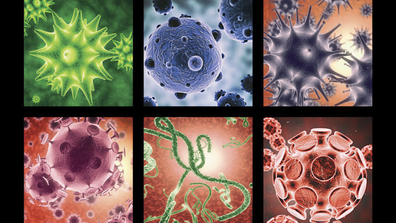 Global Microbial Control Market Trends, and Forecast 2022-2025