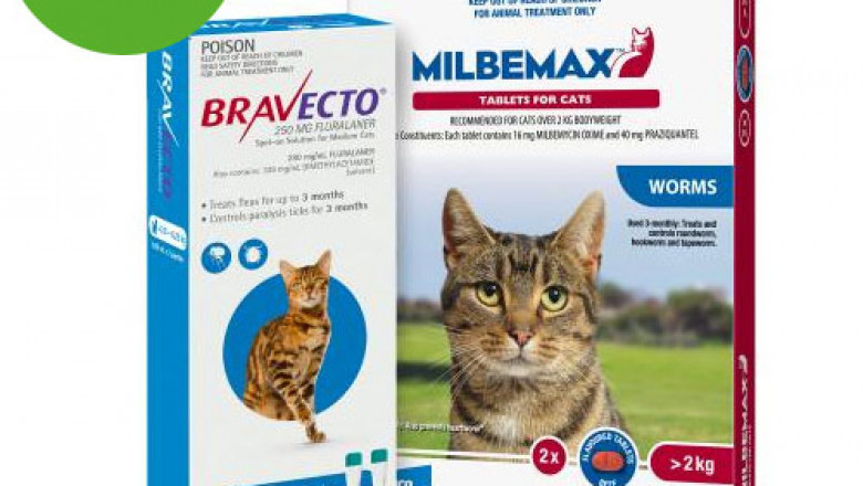 Buy Bravecto Spot On + Milbemax Combo Pack For Cats