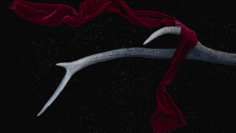 dia chi dia chi ban sin su tai ha noi hoa toc phuc loi