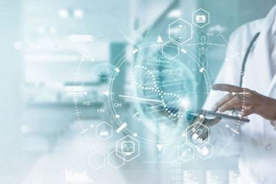 Global Chiropractic Software Market 2022 by Manufacturers, Regions, Type, Application, Forecast to 2028