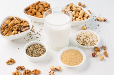 Global Plant Based Milk Market expected to expand to attain revenue of USD 25 Billion by 2026