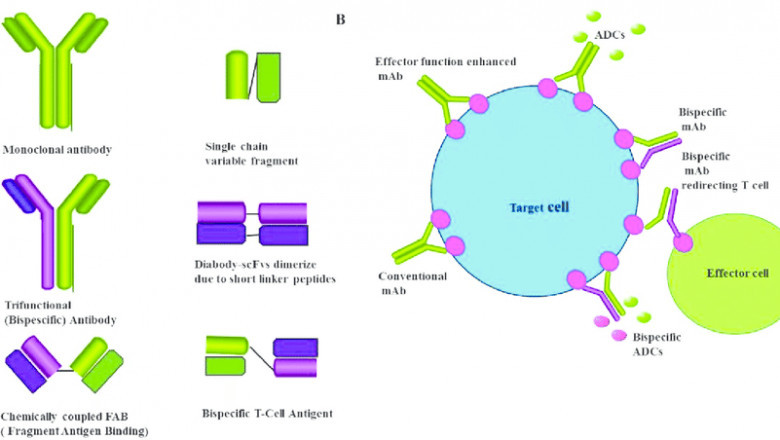 Monoclonal Antibodies Treatment is usually administered in an infusion center since it requires a vein.