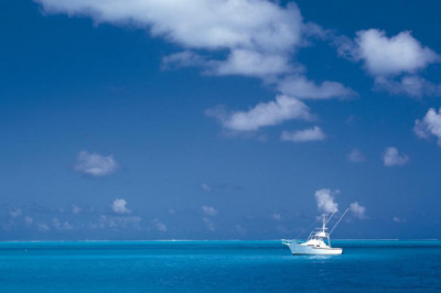 10 secrets about cleansing your liver you can learn from tv