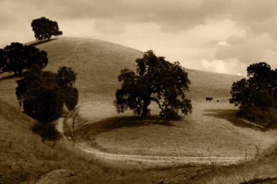 14 businesses doing a great job at quicksilver sellers