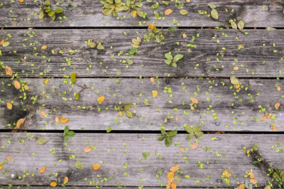 affordable garage door repair austin