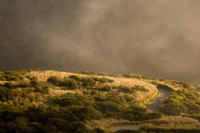 meet the steve jobs of the liver detoxification industry