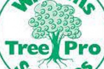 Tree Loppers | Williams Tree Pro Services