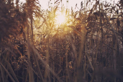 addicted to detoxifiers us too 6 reasons we just cant stop