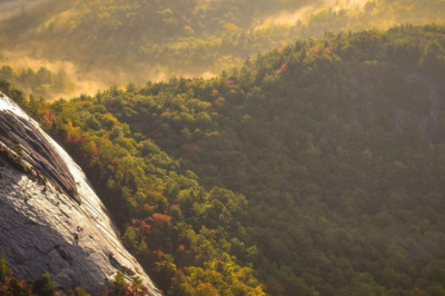 become an expert on medicinal removal of toxic by watching these 5 videos