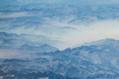 the urban dictionary of plant esters clove