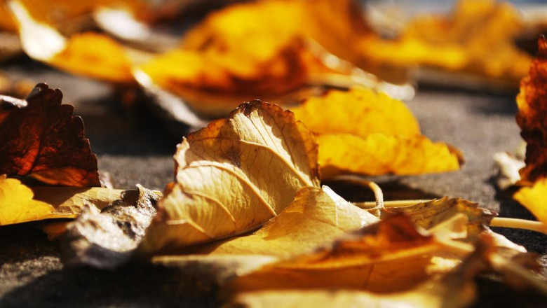 types of health care physicians