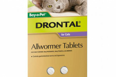 Buy Drontal Wormers For Small Cats 4 Kg Online | DiscountPetCare