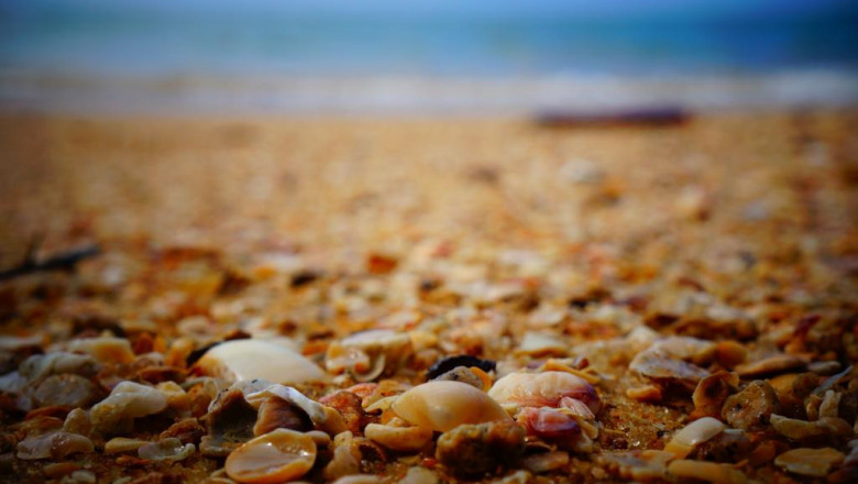 cbd vs cbn whats the difference webmd