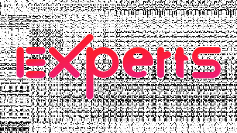 Experts Consult Connecting Brains Building