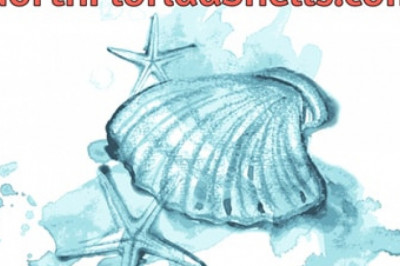 Home Decor Idea with White Starfish in 2019