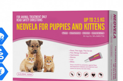 Neovela for Kittens and Puppies Upto 2.5 Kg Heartworm Prevention