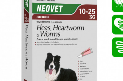Neovet for Dogs 10-25 Kg RED Flea Heartworm Worm Treatment