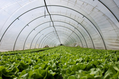 Usage of Agricultural Films on a Global Scale