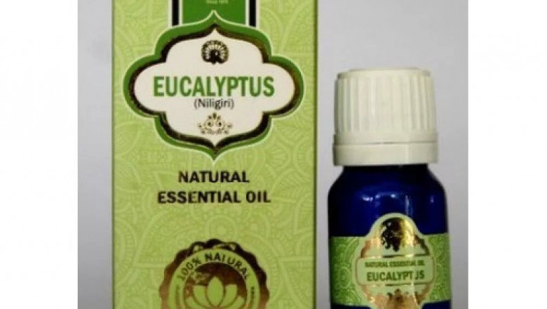Want To Buy EUCLYPTUS ESSENTIAL Oil Online In India?