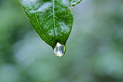 dont make this silly mistake with your conscient hines gurgaon